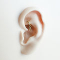 16g 18g Dainty Spike Rook Piercing, Titanium rook hoop, rook huggie, hoop huggies, cartilage piercing, helix hoop, helix piercing