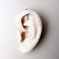 Dainty Diamond CZ Pear F136 Titanium 16G 18g Push Pin Flat Back Vertical Helix Piercing, Vertical hidden rook piercing